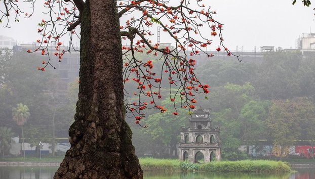 Tour por el Casco Antiguo y lugares de interés de Hanói  - Foto 3